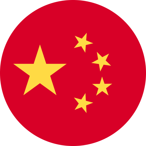 中文 (中国)